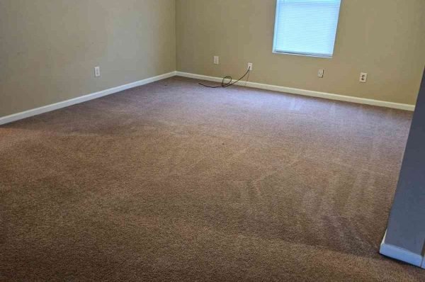 1766179976243_xj338pdbd