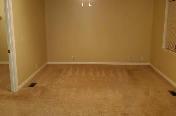 1766180529700_sx34m5i7z